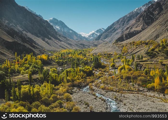 Nature landscape view of yellow and green foliage in autumn with a stream surrounded by mountains in Karakoram range, Skardu. Gilgit Baltistan, Pakistan.