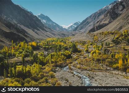 Nature landscape view of yellow and green foliage in autumn with a stream surrounded by mountains in Karakoram range, Skardu. Gilgit Baltistan, Pakistan.