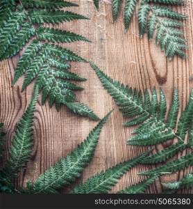 Nature Layout with fern leaves on rustic wooden background, top view