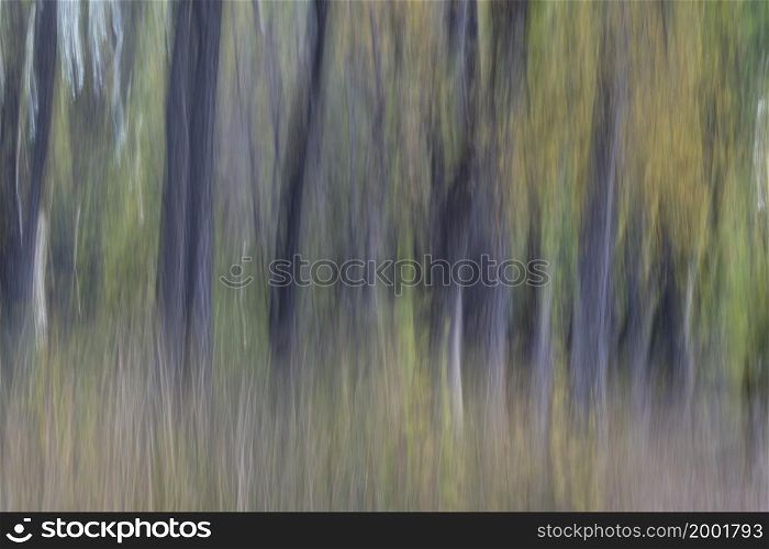 nature motion blur abstract in pastel colors - forest trees in fall