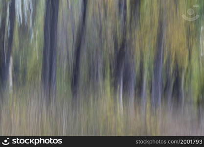 nature motion blur abstract in pastel colors - forest trees in fall