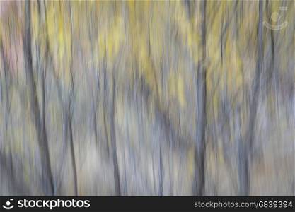 nature motion blur abstract in pastel colors - trees in fall