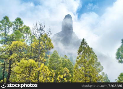 Nature mountain landscape of Canary Island with Roque Nublo rock peak enveloping by dense fog 