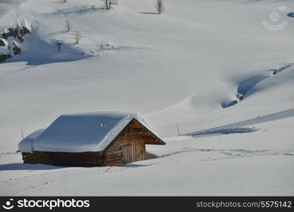 nature mountaint winter landscape nature with tree and fresh snow