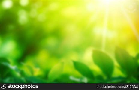 Nature of green leaf in garden at summer. Natural green leaves plants using as spring background cover page environment ecology or greenery wallpaper blurred design, shiny summer sunny background natural. Nature of green leaf in garden at summer. Natural green leaves plants using as spring background cover page environment ecology or greenery wallpaper blurred design, shiny summer sunny background