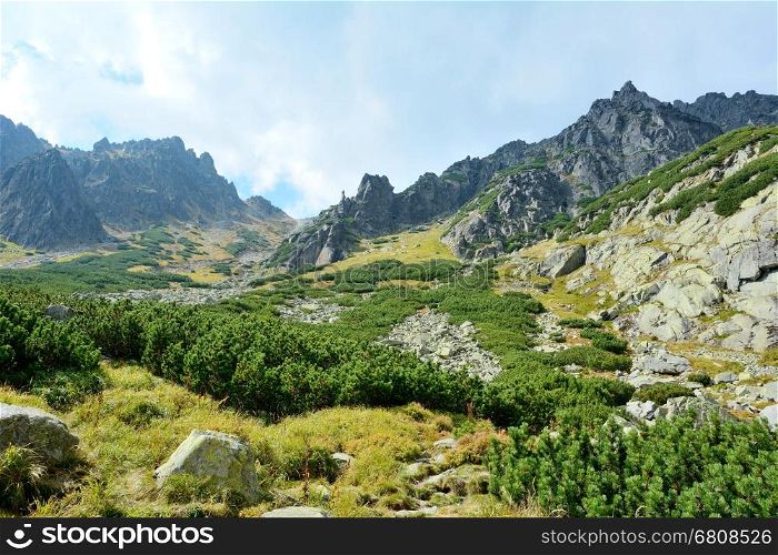 Nature of High Tatras mountain in Slovakia. Forest with stream in Tatra mountains.