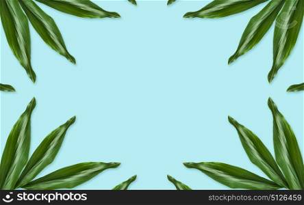 nature, organic and botany concept - green leaves on blue background. green leaves on blue background