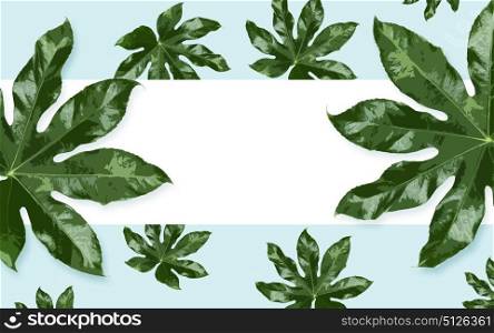 nature, organic and botany concept - white blank space and green leaves on blue background. white blank space and green leaves over blue