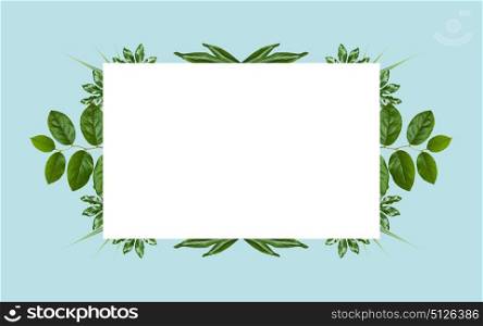 nature, organic and botany concept - white blank space and green leaves on blue background. white blank space and green leaves on blue