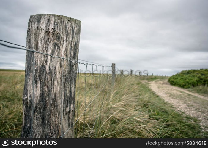 Nature path surrounded by grass and a fence