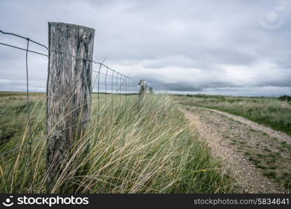 Nature path surrounded by grass and a fence