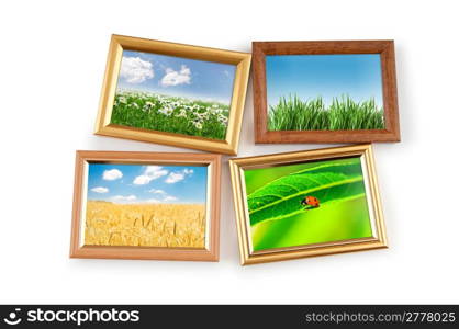 Nature photos in picture frames