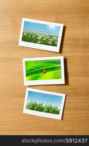 Nature photos in picture frames