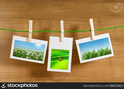 Nature photos in picture frames