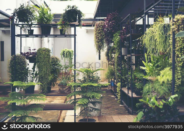 nature plant wall, nature building concept