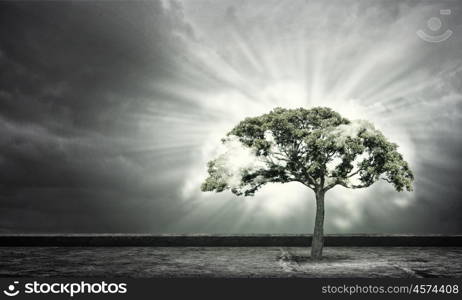 Nature protection. Green tree as a symbol of environmental protection