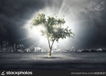 Nature protection. Green tree as a symbol of environmental protection