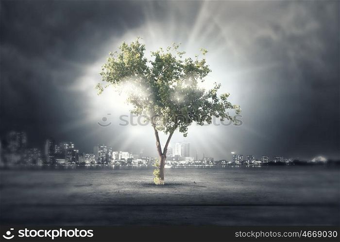 Nature protection. Green tree as a symbol of environmental protection