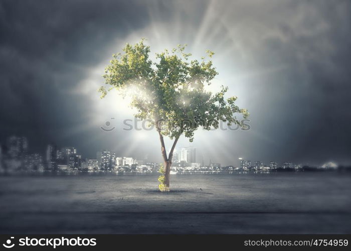 Nature protection. Green tree as a symbol of environmental protection