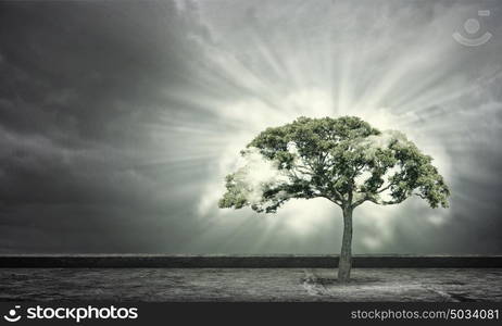 Nature protection. Green tree as a symbol of environmental protection