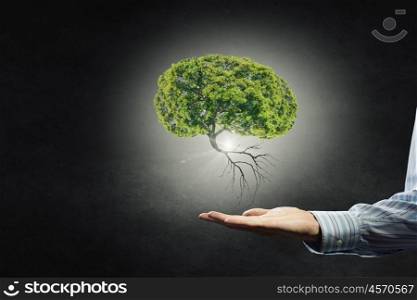 Nature protection in our hands. Businessman hand holding green tree in palm on dark background