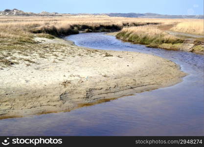 Nature reserve De Slufter on Texel, Netherlands.