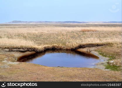 Nature reserve De Slufter on Texel, Netherlands.