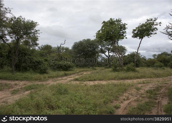 nature reserve in south africa near hoedspruit