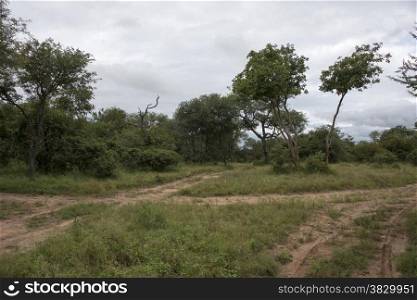 nature reserve in south africa near hoedspruit