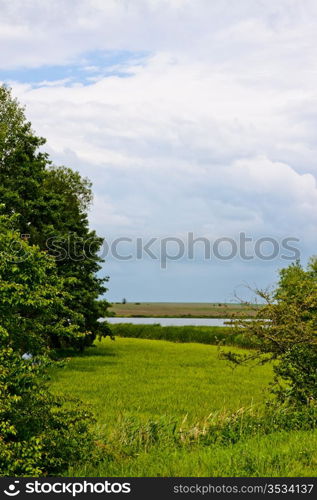 nature rural landscape at sunny summer day