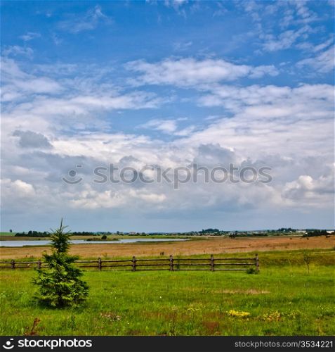 nature rural landscape at sunny summer day