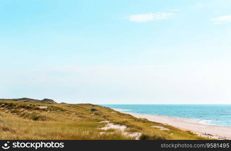 Nature scenery on Sylt island with the long beach, the marram grass dunes and the North Sea