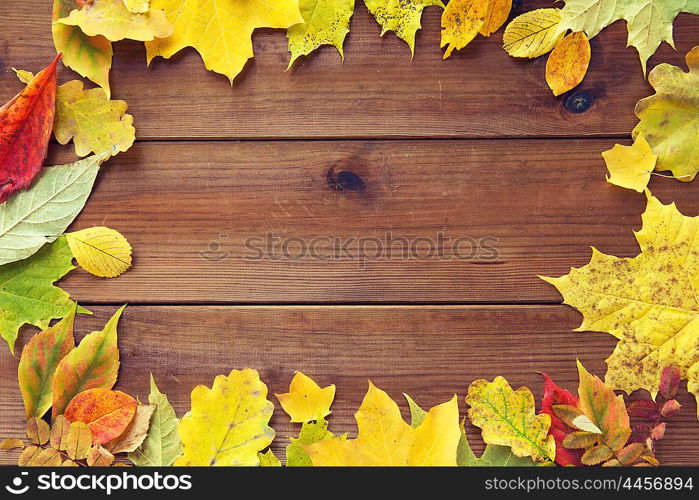 nature, season, advertisement and decor concept - frame of different fallen autumn leaves on wooden board