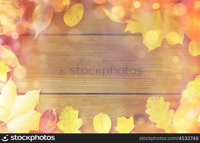 nature, season, advertisement and decor concept - frame of different fallen autumn leaves on wooden board