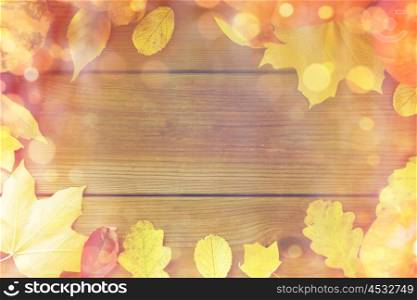 nature, season, advertisement and decor concept - frame of different fallen autumn leaves on wooden board