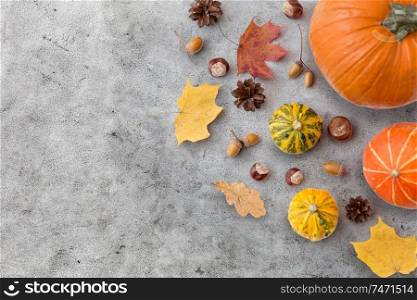 nature, season and botany concept - different dry fallen autumn leaves, chestnuts, acorns and pumpkins on gray stone background. autumn leaves, chestnuts, acorns and pumpkins