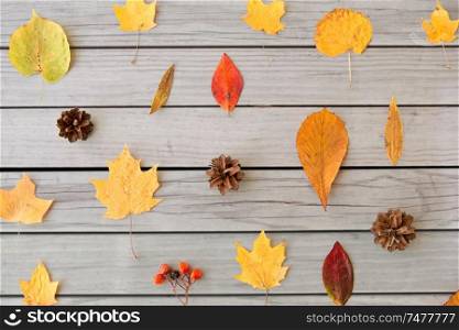 nature, season and botany concept - different dry fallen autumn leaves, rowanberries and pine cones on gray wooden boards background. dry autumn leaves, rowanberries and pine cones