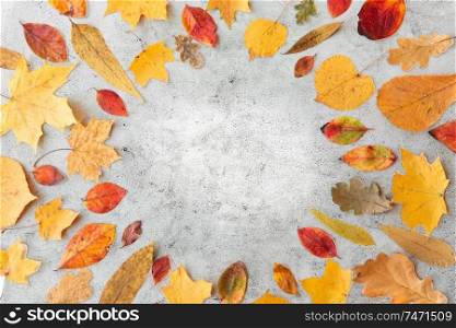 nature, season and botany concept - round frame of different dry fallen autumn leaves on gray stone background. round frame of different dry fallen autumn leaves
