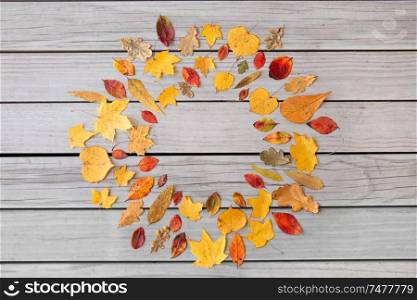 nature, season and botany concept - round frame of different dry fallen autumn leaves on gray wooden boards background. round frame of different dry fallen autumn leaves