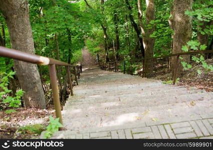 nature, season and environment concept - close up of stair going down at summer forest or park