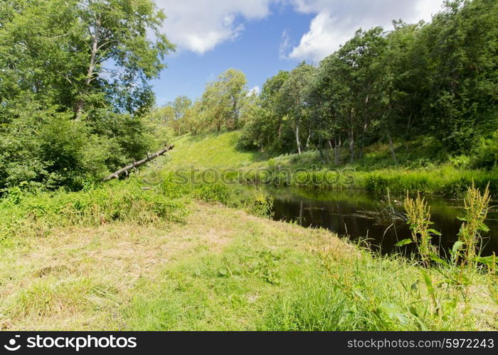 nature, season and environment concept - summer forest and river