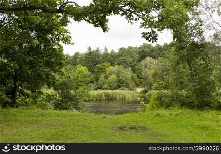nature, season and environment concept - view to summer forest and river or lake
