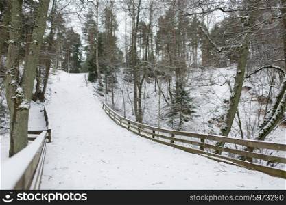 nature, season and environment concept - winter spruce forest and snow cowered field
