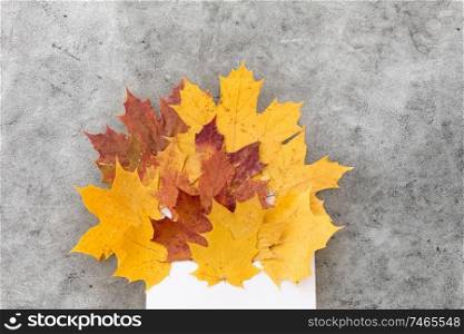 nature, season and mail concept - dry fallen autumn maple leaves with envelope on grey stone background. autumn maple leaves with envelope on grey stone