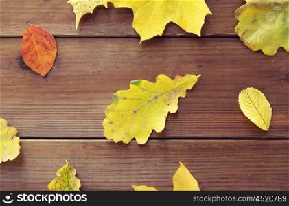 nature, season, autumn and botany concept - close up of many different fallen autumn leaves on wooden board