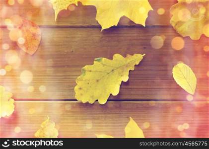 nature, season, autumn and botany concept - close up of many different fallen autumn leaves on wooden board