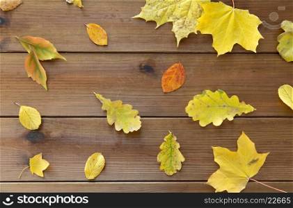 nature, season, autumn and botany concept - set of many different fallen autumn leaves on wooden board