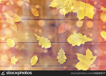 nature, season, autumn and botany concept - set of many different fallen autumn leaves on wooden board