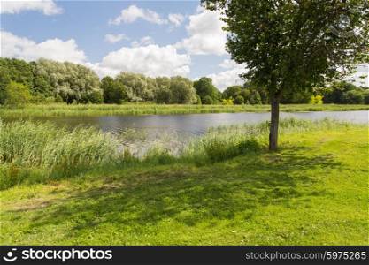nature, season, landscape and environment concept - summer field and trees