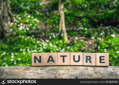 Nature sign in a green forest in the springtime